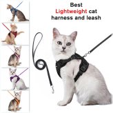 SafePaws Reflective Walking Set