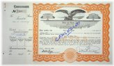 Reiter Dairy Company Vintage Stock Certificate