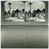 Desert Oasis Stereoview Card