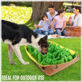 Forage Fun Mat for Dogs