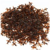 Ants Brigade Miniatures