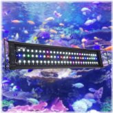 Oceanic Glow LED Lighting