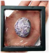 Fluttering Wing Treasures