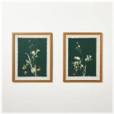 Orchid Bloom Duo Framed Art