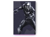 Black Panther FireCuda External Hard Drive