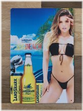 Coastal Vibes Metal Sign