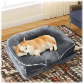 ComfortFoam Pet Haven