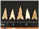 Ancient Tidikelt Arrowheads Collection
