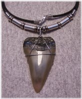 Prehistoric Shark Relic