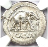 Silver Elephant Denarius of Julius Caesar 49 BC - NGC Choice AU Certified