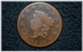 Chestnut Crowned Penny