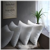 CozyNest Pillow Set