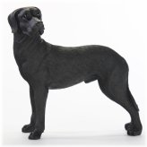 Elegant Ebony Dane Sculpture