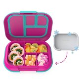 Chill Bento Lunch Box