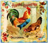 Citrus Crown Chicken Label Art Print