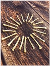 Wild Coyote Claw Collection