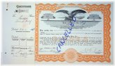 Dairy Company Stock Certificate - Akron 1965 No. 261