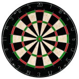 Regal Bristle Dart Board - Professional Grade