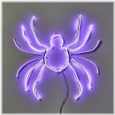 Whimsical Arachnid Luminary