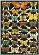 Butterfly Garden Relief Die Cut - Vibrant German Embossed Paper Collectible