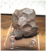 Canyon Diablo Iron Meteorite - Museum Grade