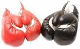 Red and Black Boxing Gloves Set