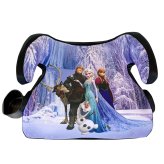 Frosty Ride Booster Seat