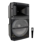 Sonic Vibe 15-inch Amplified Speaker