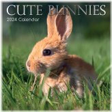 Bunny Bliss 2024 Calendar