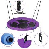 Purple Saucer Swing