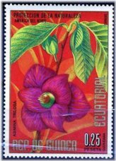 Equatorial Guinea Tropical Treasures Stamp Collection