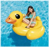 Sunny Quacker Ride-On Pool Float