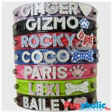 Croc Personalized Pet Collar