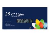 Ceramic C7 Multi-Color Light String