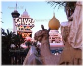 Nostalgic Las Vegas Photo Print