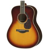 HarmonyWood Acoustic-Electric Guitar