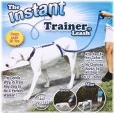 Easy Walk Leash & Collar Kit