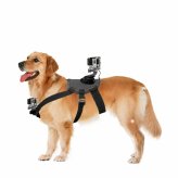 PawMount AdjustPro