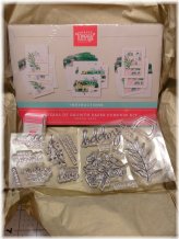 Embossed Impressions Kit