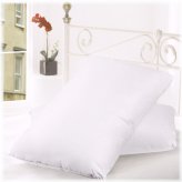 CozyNest Pillows