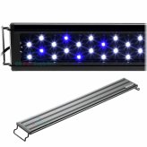 Marine Glow LED Lights for Aquariums