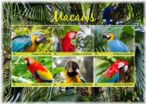 Rainbow Wings: Antigua's Majestic Macaws - Limited Edition Stamp Set