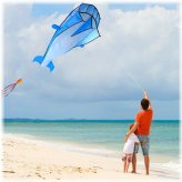 Blue Dolphin Breeze Kite - 2m Frameless 3D Design for Beach Fun