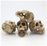 Skull Cave Ornament for Aquatic and Reptile Environments