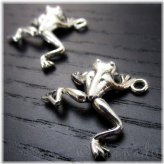 Enchanted Frog Collection