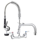 Professional Spray Wall-Mount Faucet