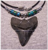 Ancient Shark Tooth Necklace