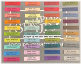 Colorful File Tab Organizers