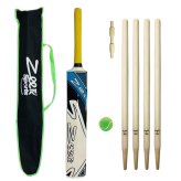 Junior Willow Cricket Set