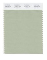 Laurel Green Color Swatch Card